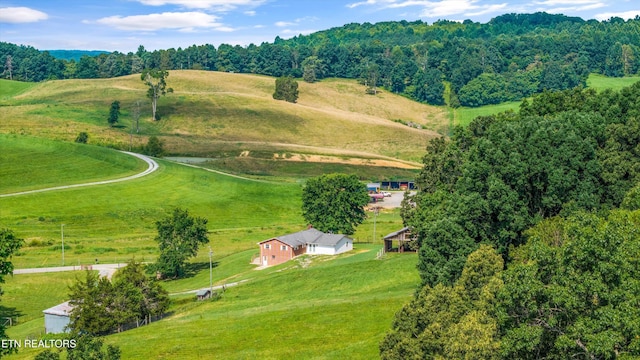 10812 Blue Springs Rd, Sweetwater, TN 37874 - photo 41