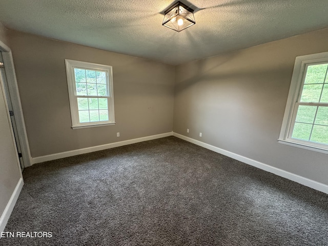 115 Red Oak Ln, New Tazewell, TN 37825 - unfurnished room featuring healthy amount of natural light, a textured ceiling, and dark carpet