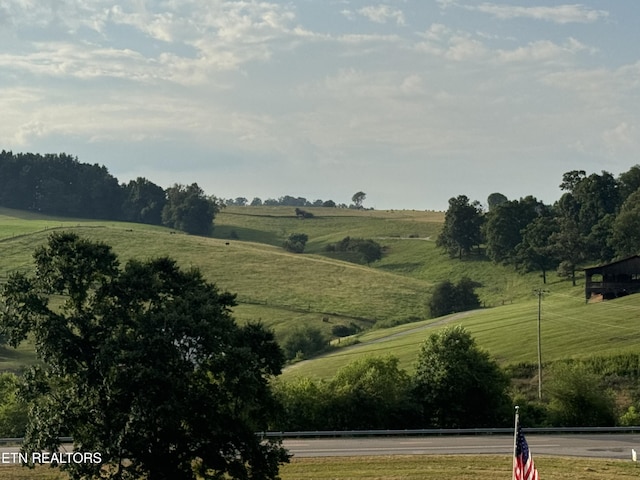115 Red Oak Ln, New Tazewell, TN 37825 - view of community featuring a view of rural / pastoral area