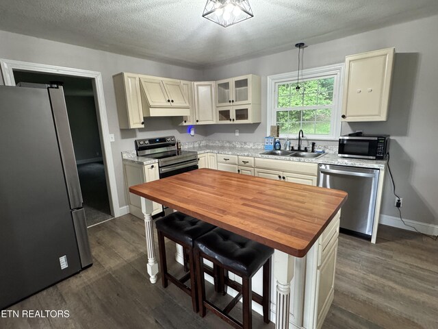 115 Red Oak Ln, New Tazewell, TN 37825 - kitchen featuring appliances with stainless steel finishes, wooden counters, dark wood finished floors, a textured ceiling, and glass insert cabinets
