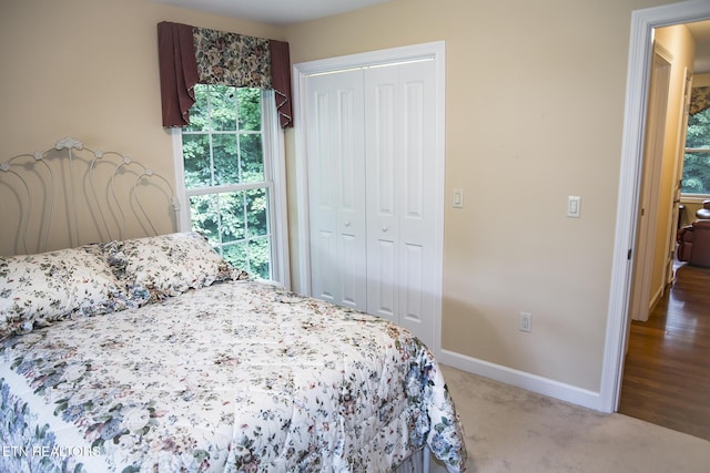 520 Wimberly Rd, Crossville, TN 38558 - bedroom with a closet and light carpet
