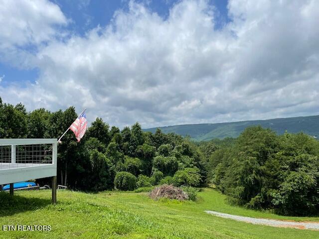 290 J L Davis Ln, Evensville, TN 37332 - photo 3