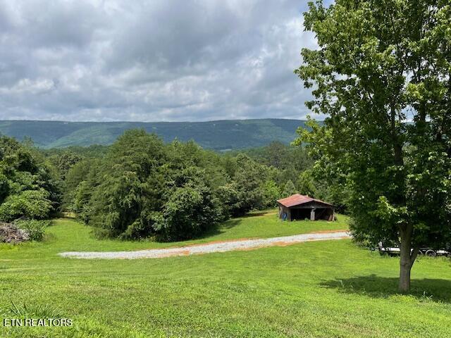 290 J L Davis Ln, Evensville, TN 37332 - photo 4