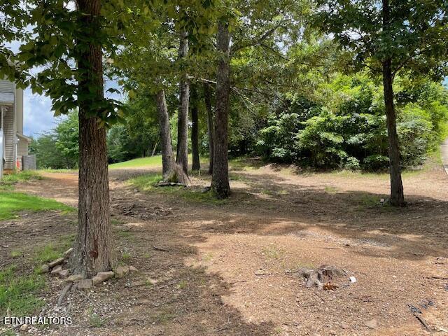 290 J L Davis Ln, Evensville, TN 37332 - photo 6