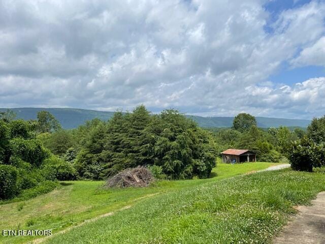290 J L Davis Ln, Evensville, TN 37332 - photo 10