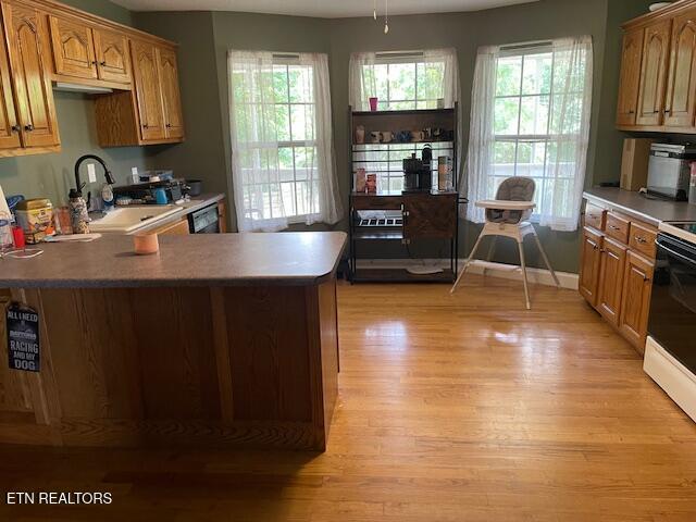 290 J L Davis Ln, Evensville, TN 37332 - photo 17