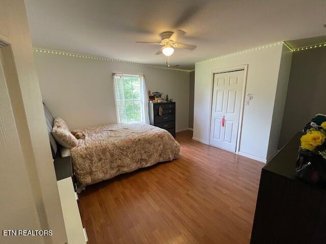 290 J L Davis Ln, Evensville, TN 37332 - photo 28