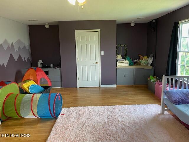 290 J L Davis Ln, Evensville, TN 37332 - photo 34