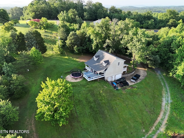 290 J L Davis Ln, Evensville, TN 37332 - photo 44