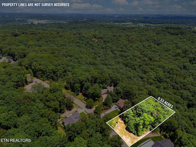 1004 Old Dogwood Trl, Loudon, TN 37774 - photo 8
