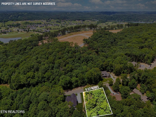 1004 Old Dogwood Trl, Loudon, TN 37774 - photo 11