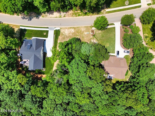 1004 Old Dogwood Trl, Loudon, TN 37774 - photo 13