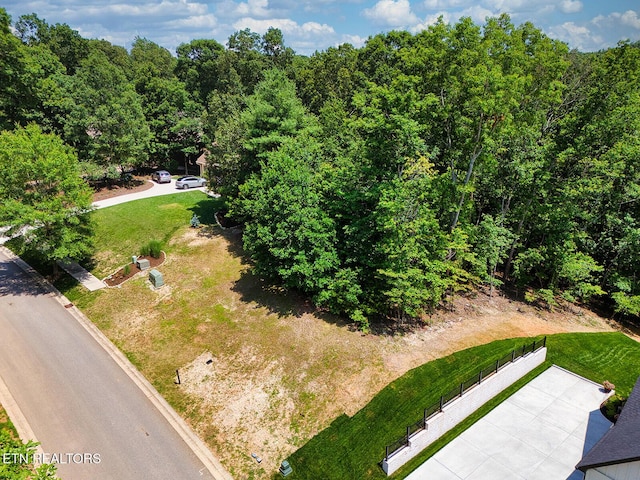 1004 Old Dogwood Trl, Loudon, TN 37774 - photo 6