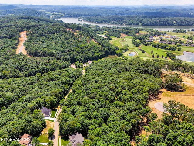 1004 Old Dogwood Trl, Loudon, TN 37774 - photo 16