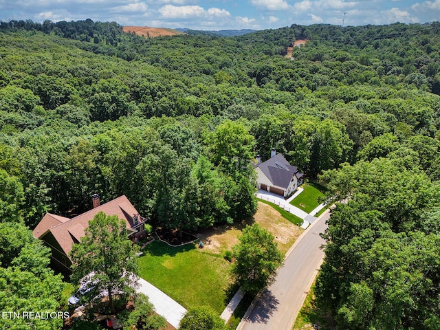 1004 Old Dogwood Trl, Loudon, TN 37774 - photo 17