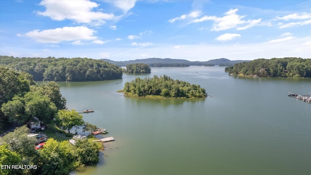 1175 Cardnal Cv, Rutledge, TN 37861 - water view with a mountain backdrop and a forest