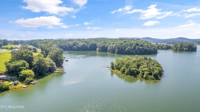 1175 Cardnal Cv, Rutledge, TN 37861 - water view with a heavily wooded area