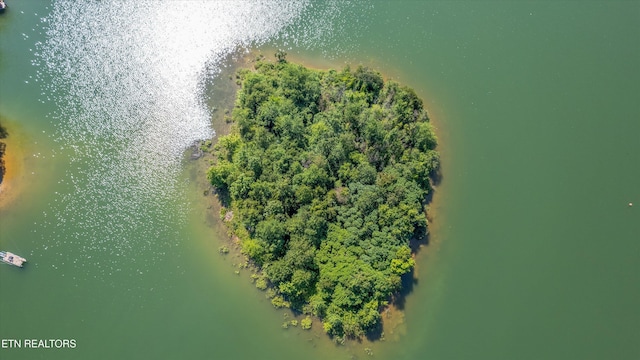 1175 Cardnal Cv, Rutledge, TN 37861 - bird's eye view of a nearby body of water