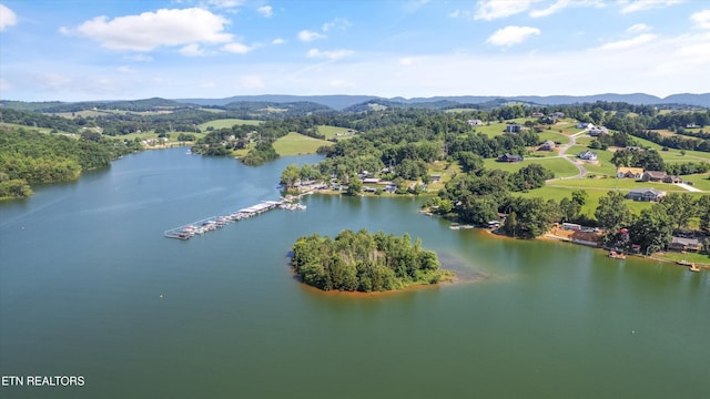 1175 Cardnal Cv, Rutledge, TN 37861 - bird's eye view of a water and mountain view
