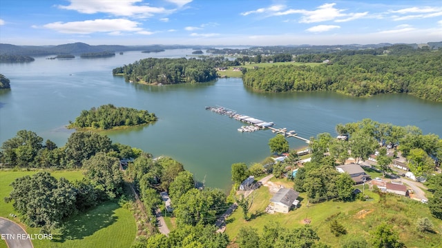 1175 Cardnal Cv, Rutledge, TN 37861 - drone / aerial view of a nearby body of water