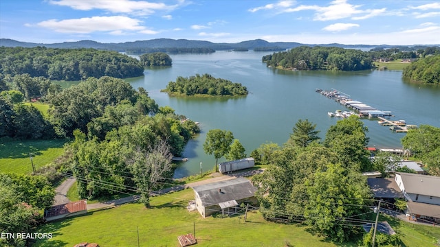 1175 Cardnal Cv, Rutledge, TN 37861 - aerial view of a water and mountain view