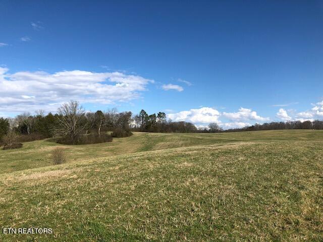 8634 Shackleford Ln, Strawberry Plains, TN 37871 - photo 1