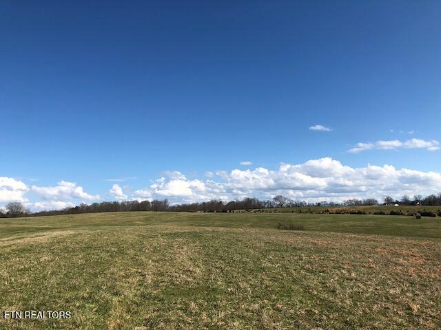 8634 Shackleford Ln, Strawberry Plains, TN 37871 - photo 2