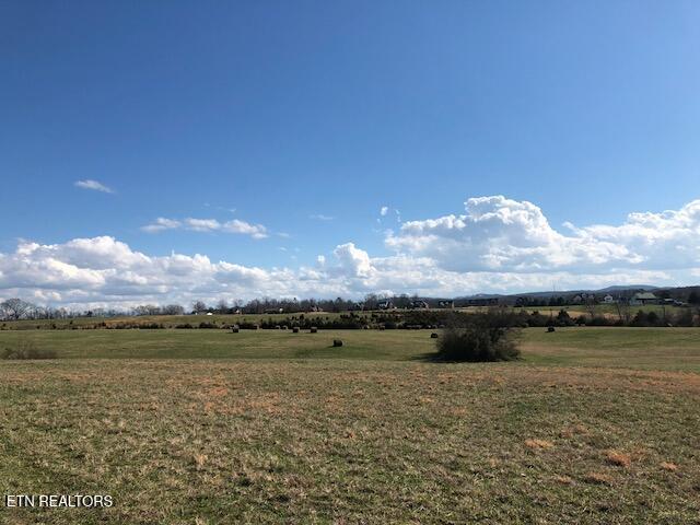 8634 Shackleford Ln, Strawberry Plains, TN 37871 - photo 3