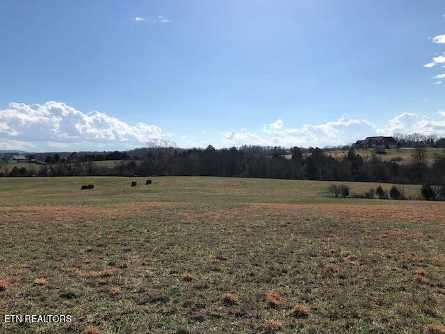 8634 Shackleford Ln, Strawberry Plains, TN 37871 - photo 4