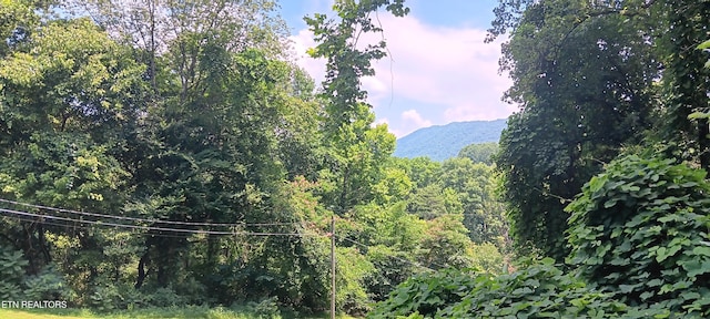 5412 E Lamar Alex Pkwy, Walland, TN 37886 - view of mountain backdrop featuring a heavily wooded area