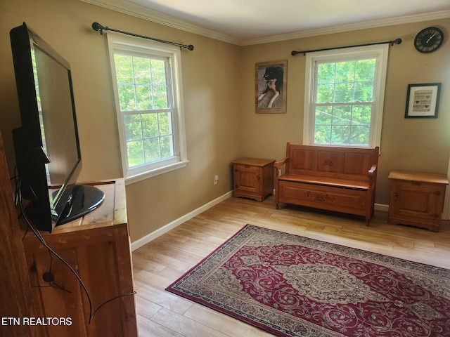 5412 E Lamar Alex Pkwy, Walland, TN 37886 - living area with ornamental molding and light wood-type flooring
