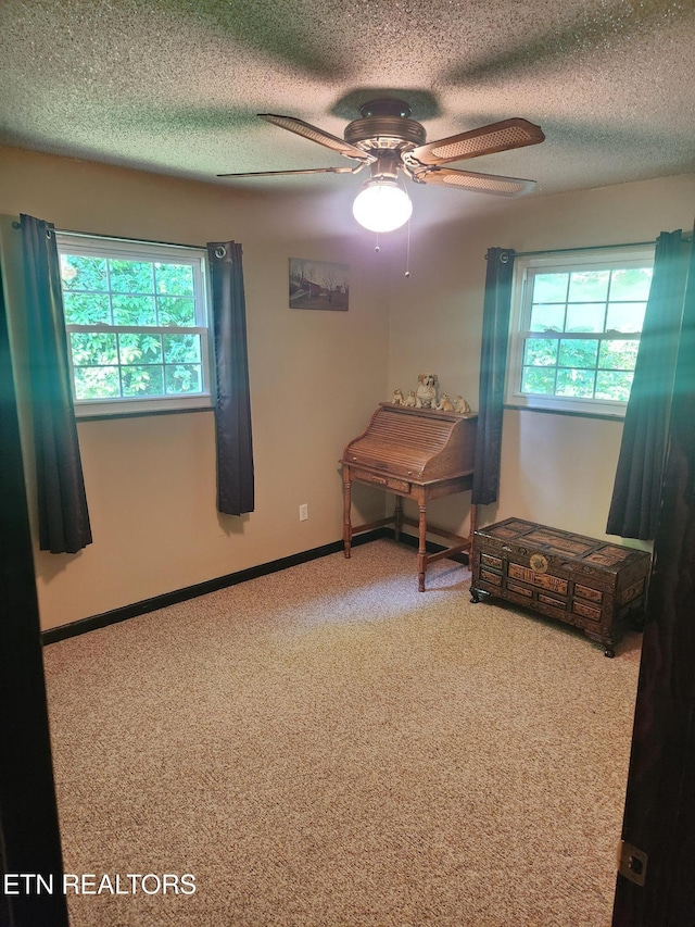 5412 E Lamar Alex Pkwy, Walland, TN 37886 - interior space with carpet, plenty of natural light, ceiling fan, and a textured ceiling