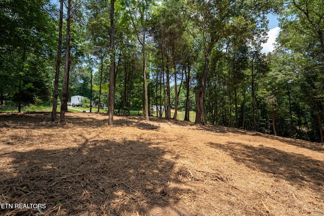 181 Pinecrest Dr, Loudon, TN 37774 - photo 7