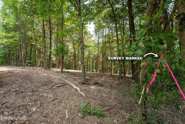 181 Pinecrest Dr, Loudon, TN 37774 - photo 3