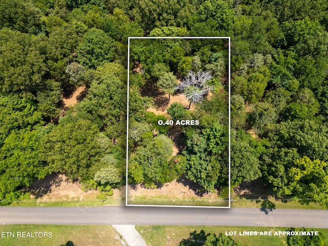 181 Pinecrest Dr, Loudon, TN 37774 - photo 2