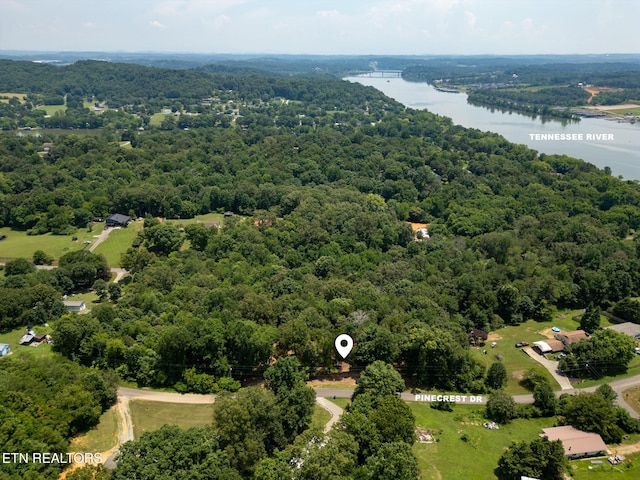 181 Pinecrest Dr, Loudon, TN 37774 - photo 9
