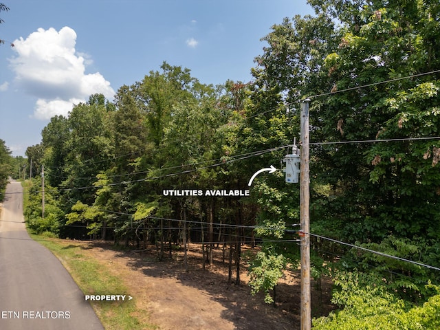 181 Pinecrest Dr, Loudon, TN 37774 - photo 4