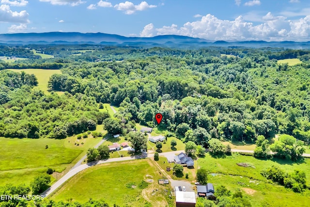 921 Niles Ferry Rd, Greenback, TN 37742 - photo 24