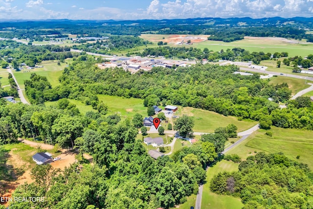 921 Niles Ferry Rd, Greenback, TN 37742 - photo 30