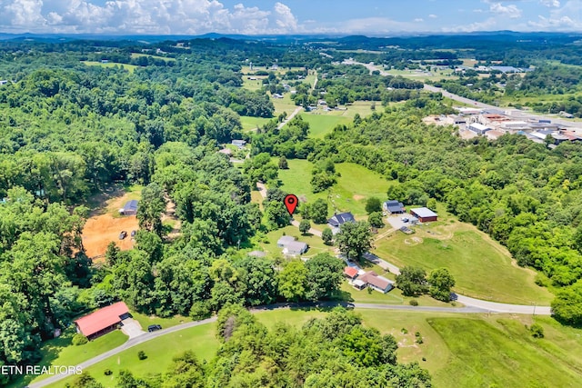 921 Niles Ferry Rd, Greenback, TN 37742 - photo 31