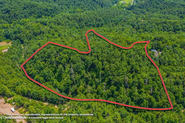 Boyd Way, Cosby, TN 37722 - photo 1