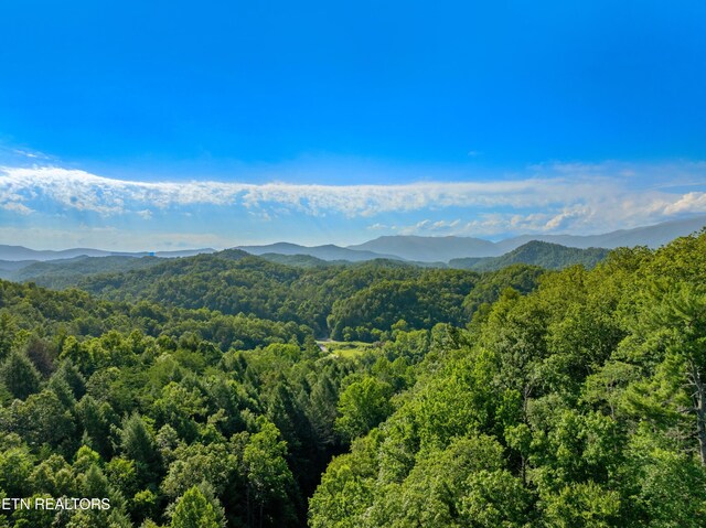 Boyd Way, Cosby, TN 37722 - photo 2