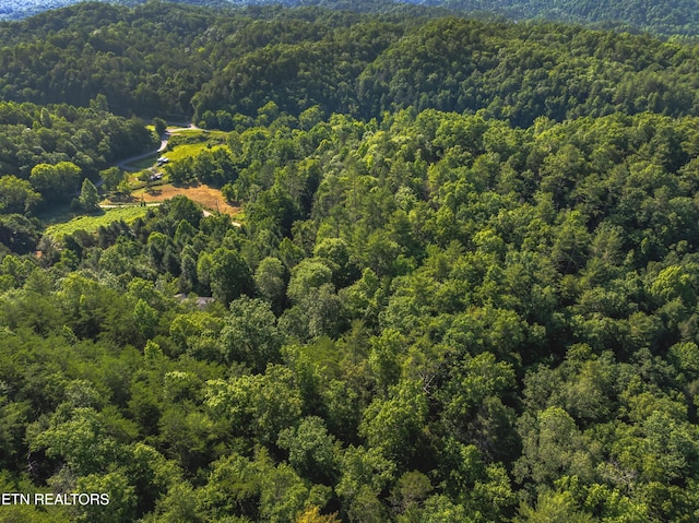 Boyd Way, Cosby, TN 37722 - photo 3