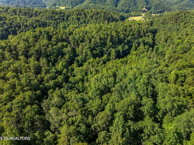 Boyd Way, Cosby, TN 37722 - photo 4