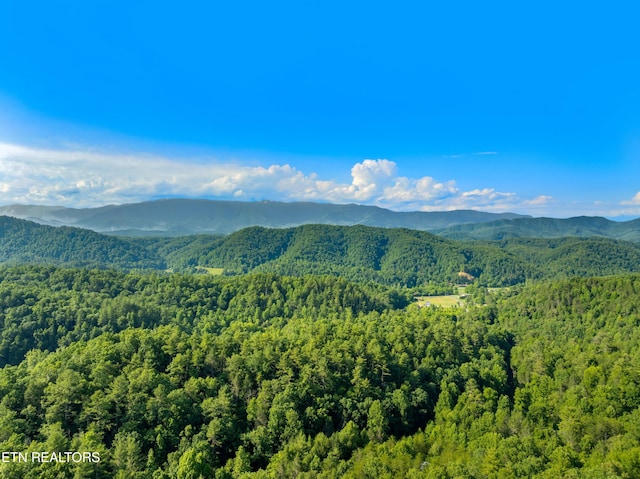 Boyd Way, Cosby, TN 37722 - photo 5
