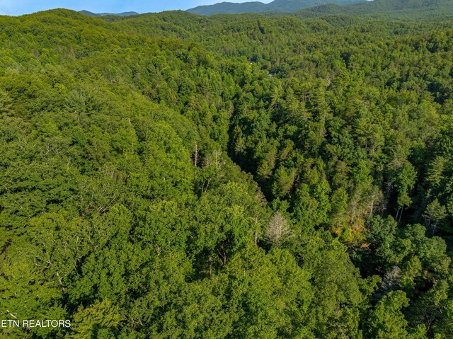 Boyd Way, Cosby, TN 37722 - photo 6