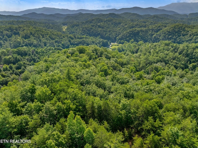Boyd Way, Cosby, TN 37722 - photo 8