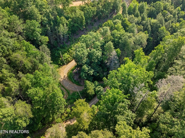 Boyd Way, Cosby, TN 37722 - photo 9