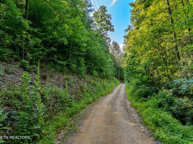 Boyd Way, Cosby, TN 37722 - photo 10