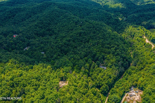 Boyd Way, Cosby, TN 37722 - photo 11
